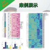 KEGG WGCNA Meta网络药理PPI TCGA差异基因分析通路富集GSEA GEO