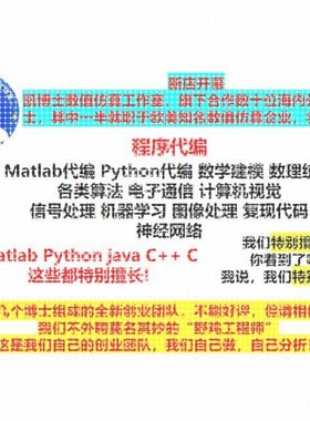 Python代编程深度学习java程序代做matlab代码web帮做彷真算法c++