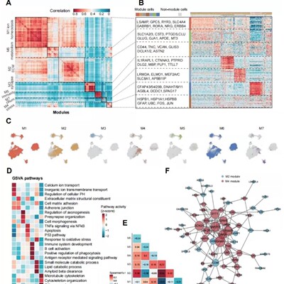 生信+实验/生信分析套餐服务TCGA/GEO单细胞测序转录组多组学联合