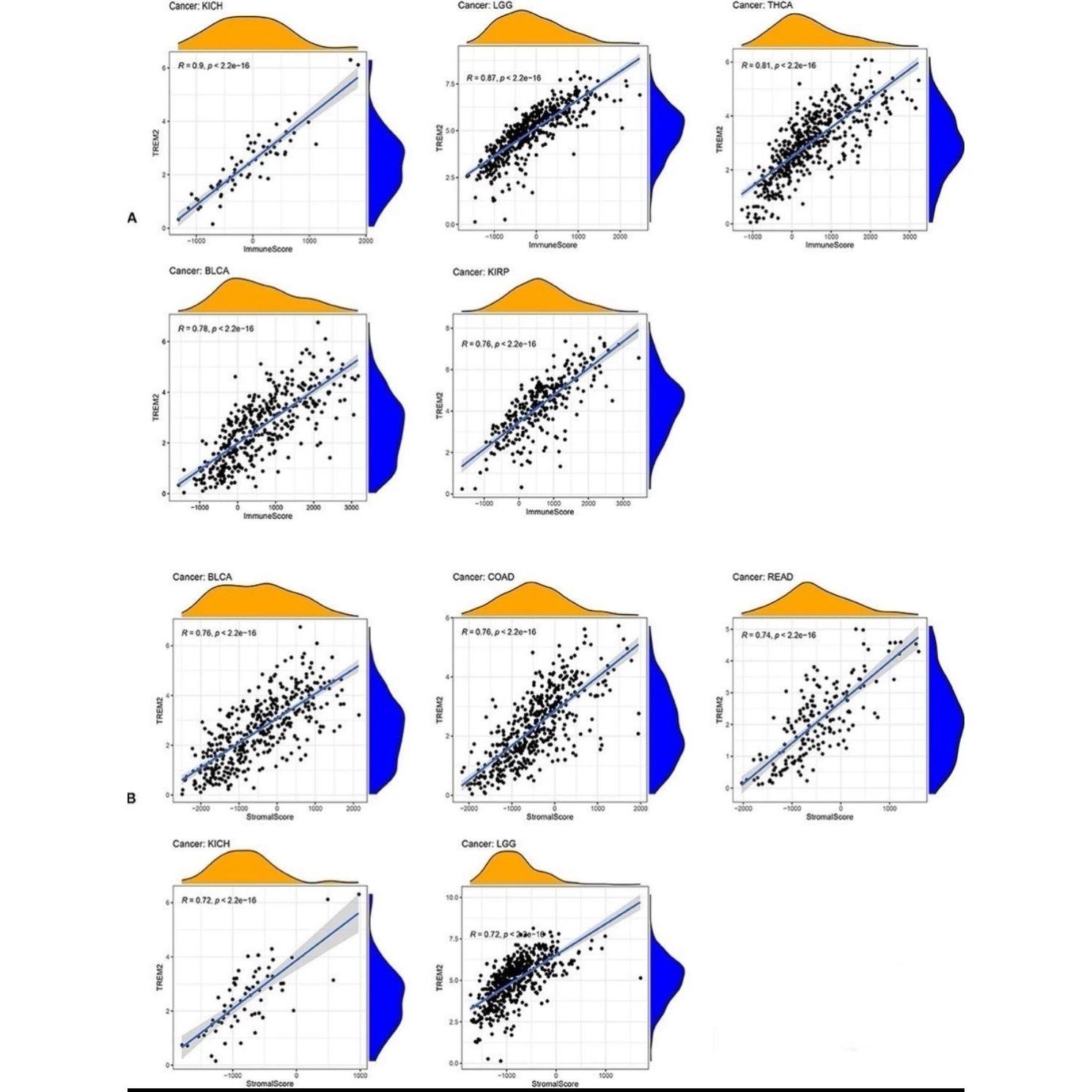 生信分析TCGA GEO数据库挖掘1-10分单细胞测序生信分析服务