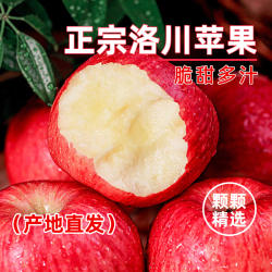 洛川苹果正宗陕西红富士顶端果业优选新鲜高原苹果一级脆甜多汁