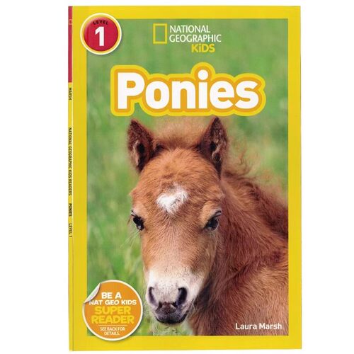 国家地理儿童读物小马英文原版