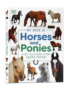 DK 马匹小马百科全书 英文原版 My Book of Horses and Ponies 儿童马术全彩图解指南动物马匹科普书课外拓展阅读英语启蒙认知