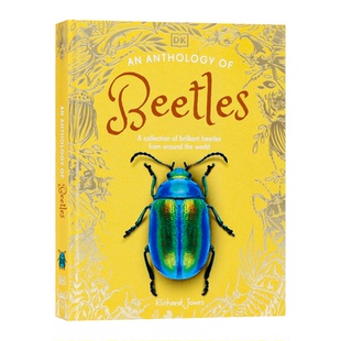 DK典藏博物馆 昆虫选集 英文原版 An Anthology of Beetles 探索世界各地 100 多种甲虫中小学课外英语阅读科普读物 全彩插画 精装