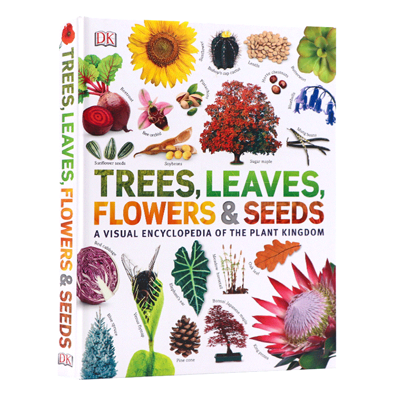 DK 植物王国视觉百科全书英文原版Our World in Pictures Trees Leaves Flowers and Seeds树叶花种子百科科普图书儿童图解百科