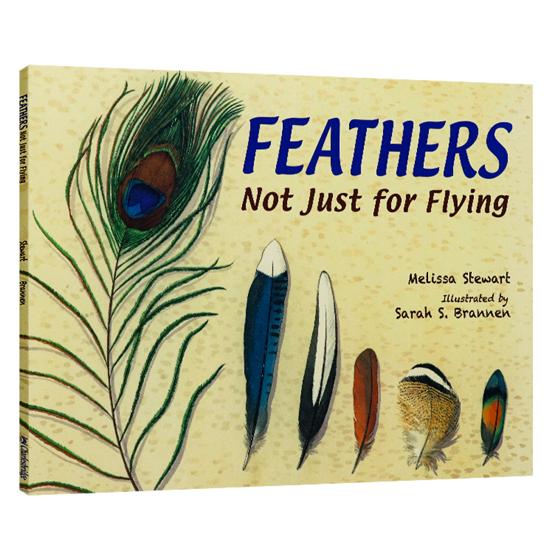 羽毛 不只是为了飞行 英文原版 Feathers Not Just for Flying 儿童科普读物羽毛飞行的奥秘  Melissa Stewart 探索十六种鸟类羽毛