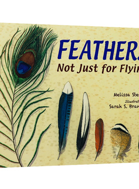 羽毛 不只是为了飞行 英文原版 Feathers Not Just for Flying 儿童科普读物羽毛飞行的奥秘  Melissa Stewart 探索十六种鸟类羽毛