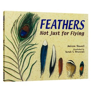 Flying 不只是为了飞行 Just 羽毛 儿童科普读物羽毛飞行 Stewart Feathers Melissa 英文原版 探索十六种鸟类羽毛 Not 奥秘 for