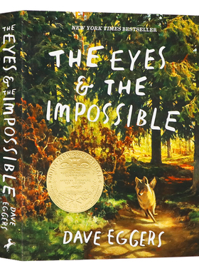 纽伯瑞金奖 眼睛与不可能 英文原版小说 The Eyes and the Impossible 纽约时报畅销书 狗狗 Johannes 守护公园平衡 蓝思值 790L