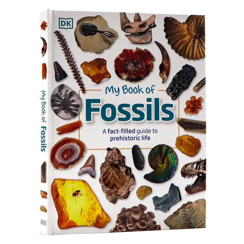 DK我的化石之书 英文原版 My Book of Fossils 一本充满事实的史前生活指南百科 古代动物植物化石视觉指南揭示我们世界的原始历史