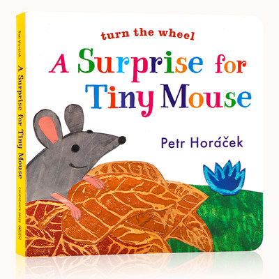 给小老鼠的惊喜 英文原版绘本 A Surprise for Tiny Mouse 名家Petr Horacek 洞洞书 转盘操作纸板书 色彩天气认知 儿童英语启蒙