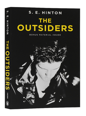 局外人The Outsiders英文原版小说追逐金色的少年 常青藤国际大奖S.E.Hinton 苏珊埃洛伊斯 聚焦青少年成长课外英语读物学校推荐