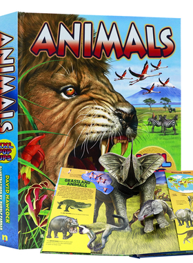 动物3D立体书 英文原版 Animals XXL pop-ups 儿童趣味科普百科与玩具书亲子互动精装大开本立体书 动物知识认知 Nui Nui