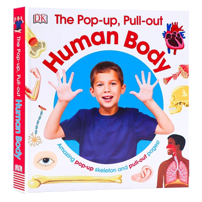 DK身体构造科普百科PopUp立体书