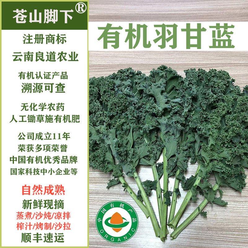 云南苍册脚下有机新鲜采摘蔬菜羽衣甘蓝凉拌榨汁沙拉西餐健身轻食
