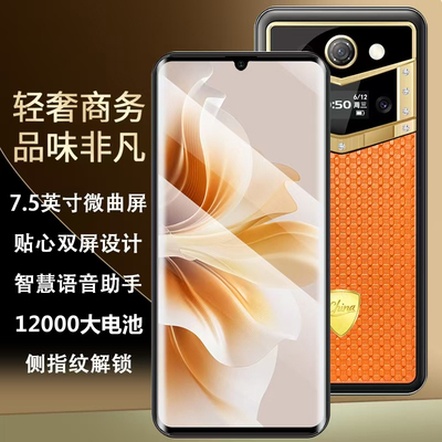 轻奢商务高端皮纹大屏智能手机全网通5G双屏个性12000大电池反充