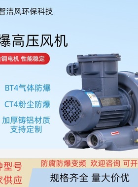 7500W高压防爆鼓风机 FB-1010防爆旋涡鼓风机7.5KW环形防爆鼓风机