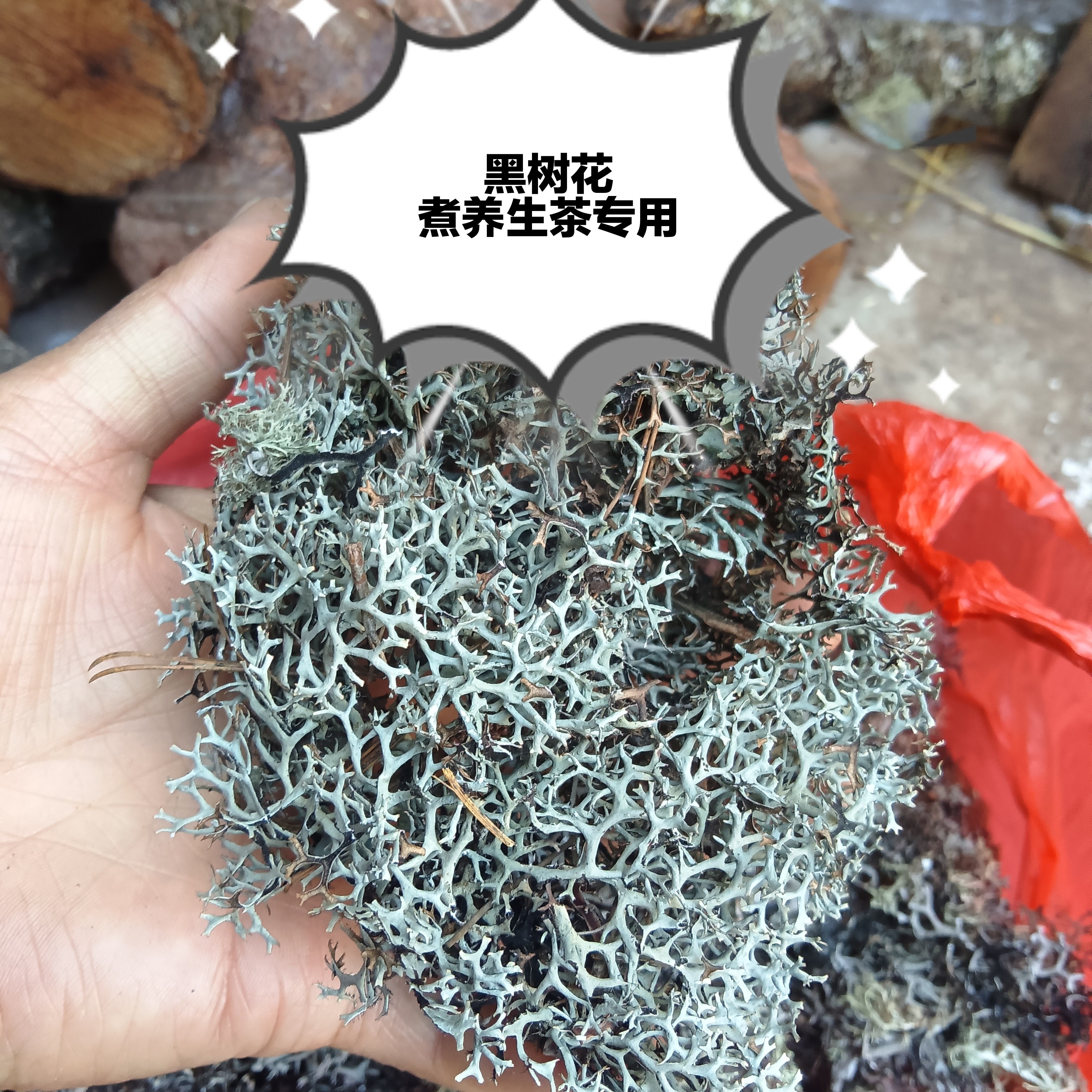黑树花灰树花树花菜树胡子干货树毛菜黑树花云南黑树花