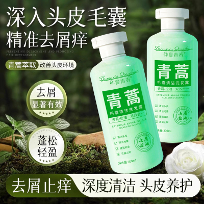 仲夏青春青蒿毛囊清洁洗发露