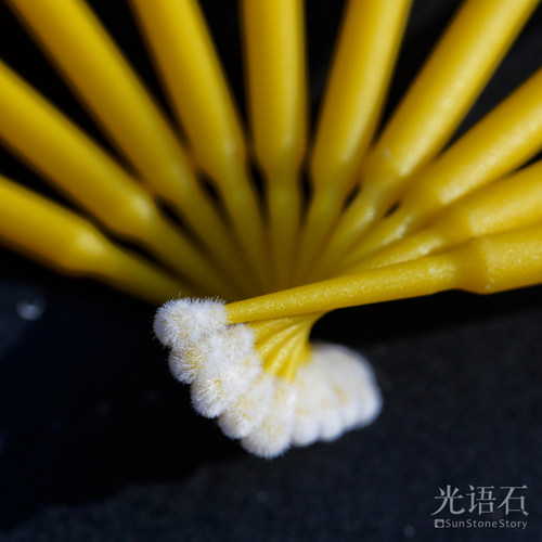 语石多肉授粉神器景天植物通用