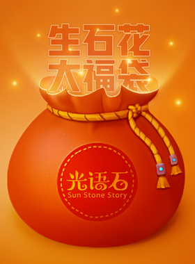生石花惊喜福袋生石花整盆巨划算秒杀新手套餐彩色BP1001