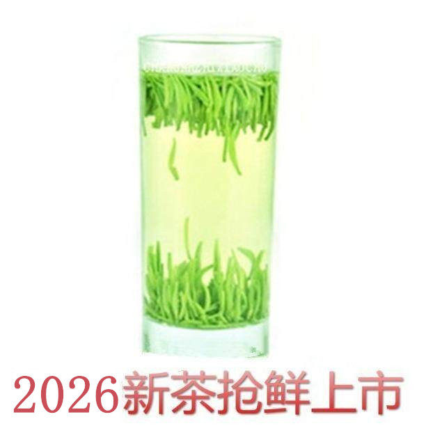 2026明前头采雀舌茶叶