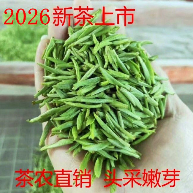 2026年新茶毛峰明前嫩芽茶农直销