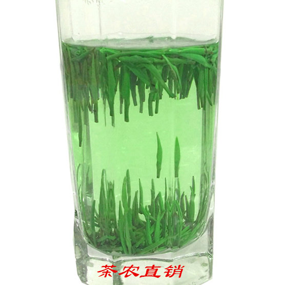 2026新茶茉莉雀舌明前茶嫩芽雀舌