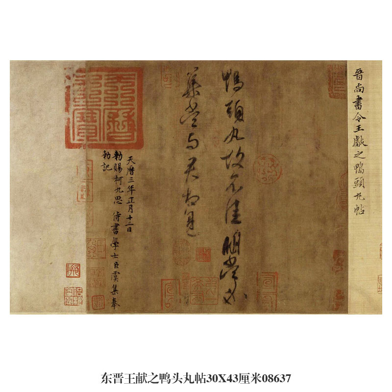 东晋王献之鸭头丸帖草书行书卷轴名帖书画仿古书法名人字画挂画