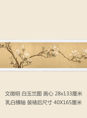 明文徵明白玉兰图卷轴挂画花鸟画古画复制品鸟名画真迹书房装饰画