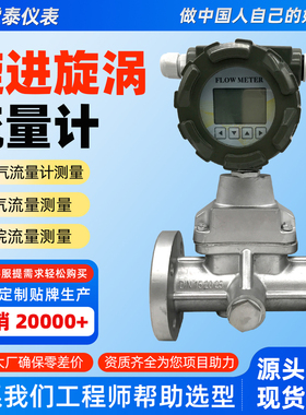 旋进旋涡流量计工业天然气燃气专用计量表氩气氮气压缩空气漩涡