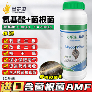 挪威进口AMF菌根菌 氨基酸水溶肥生根剂土壤改良番茄山药冲施肥
