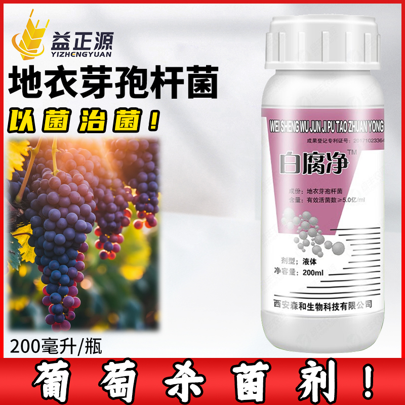 白腐凈地衣芽孢桿菌微生物菌劑
