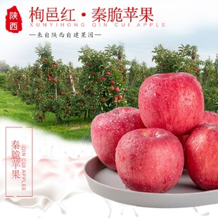 9斤2025鲜果现摘红苹果红冰糖心苹果礼盒 陕西旬邑秦脆苹果6