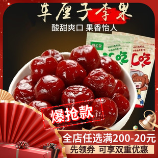 【甄汇吃】樱桃味李果 车厘子味李果 蜜饯 酸甜李子干500g包邮