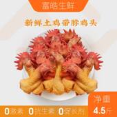 笨鸡土鸡土公鸡新鲜鸡头脖 生鲜下单款