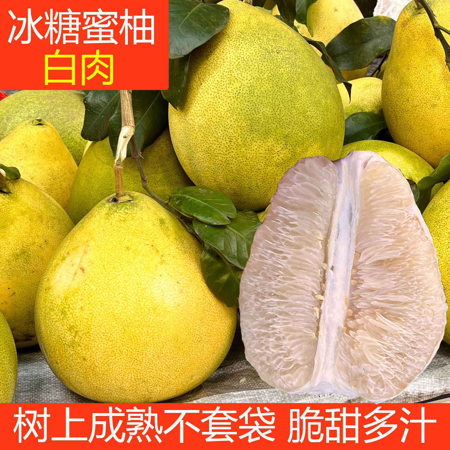 白心冰糖柚子新鲜水果当季湖南郴州10年老树农家自种青皮现摘纯甜