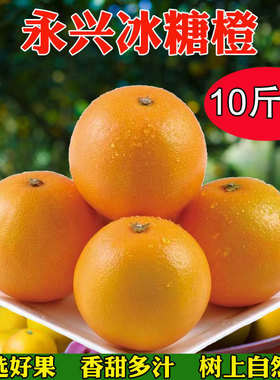 湖南正宗永兴冰糖橙10斤装郴州特产纯甜现摘当季新鲜水果橙子甜橙