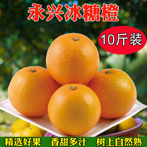 正宗永兴冰糖橙新鲜5/917斤现摘