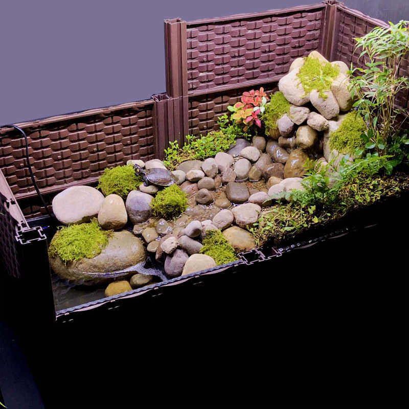 种植箱流水陶罐黄缘龟安缘龟苗乌龟台缘养殖环境造景半水龟箱草龟