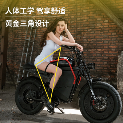 Himoto黑武士复古助力电动自行车