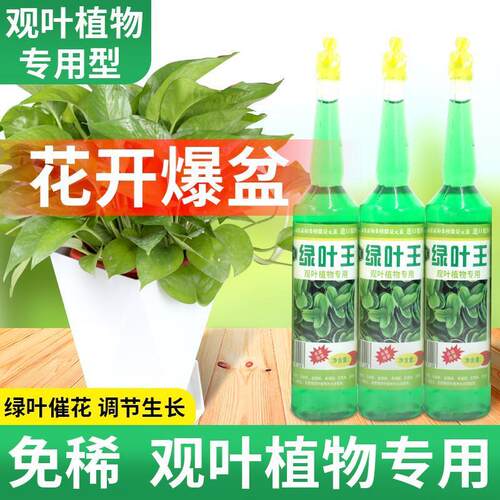 卉美绿叶王植物通用浓缩营养液绿萝文竹有机肥料水培盆栽营养液肥