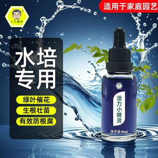 活力小精灵水培植物专用营养液富贵竹转运竹巴西木郁金香绿萝铜钱