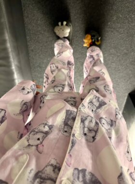 侘町2025年新款甜美女纯棉磨毛睡衣春秋柔软全棉家居服套装可外穿
