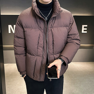 立领羽绒服男装宽松休闲外套男装 新标90绒 B320-83398-P265图片