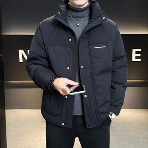 标50绒 冬季立领羽绒服男士休闲2025青年外套男B320-6621-P225图片