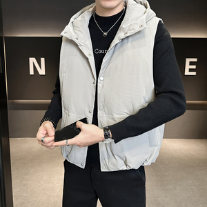 (新标95绒）羽绒马甲男冬季2025背心坎肩外套男B320-85921-P185图片