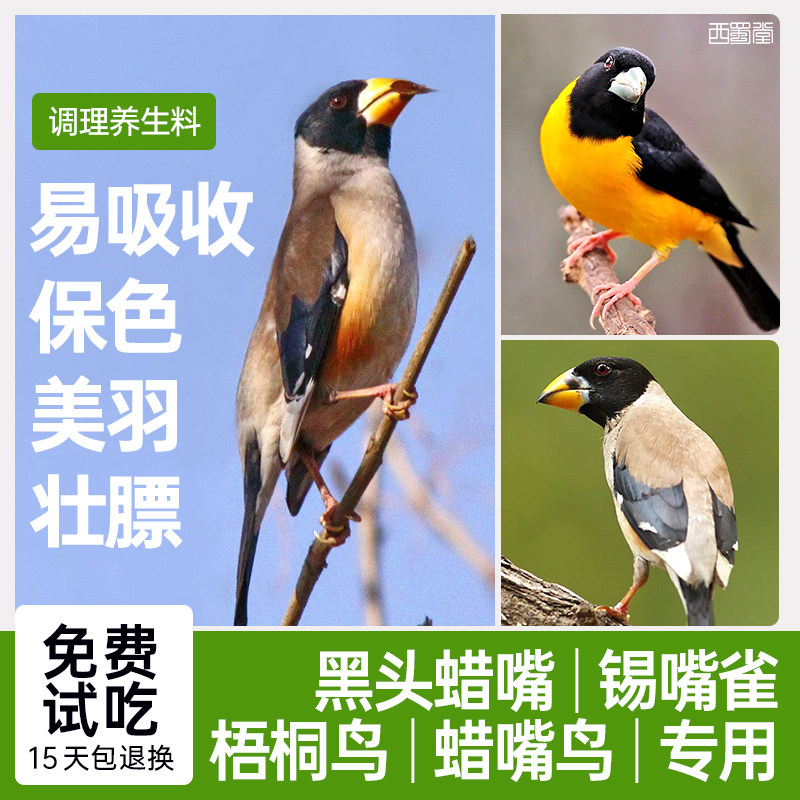 西蜀堂手工蜡嘴梧桐鸟食调理养生壮膘饲料蜡嘴梧桐太平鸟专用饲料