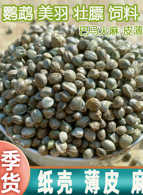 麻子鹦鹉粮鹦鹉鸟粮饲料鹦鹉麻子鹦鹉鸟粮鸽粮鹦鹉零食鹦鹉饲料