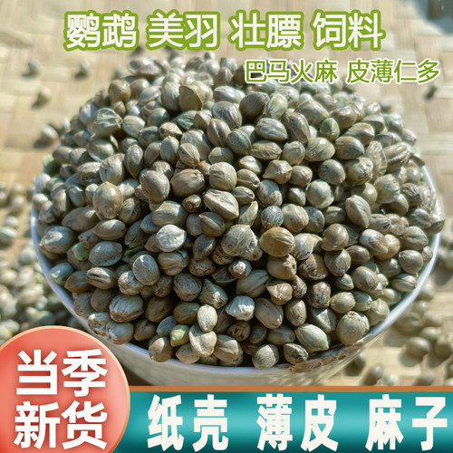 西蜀堂麻子鸟粮麻子鹦鹉专用零食
